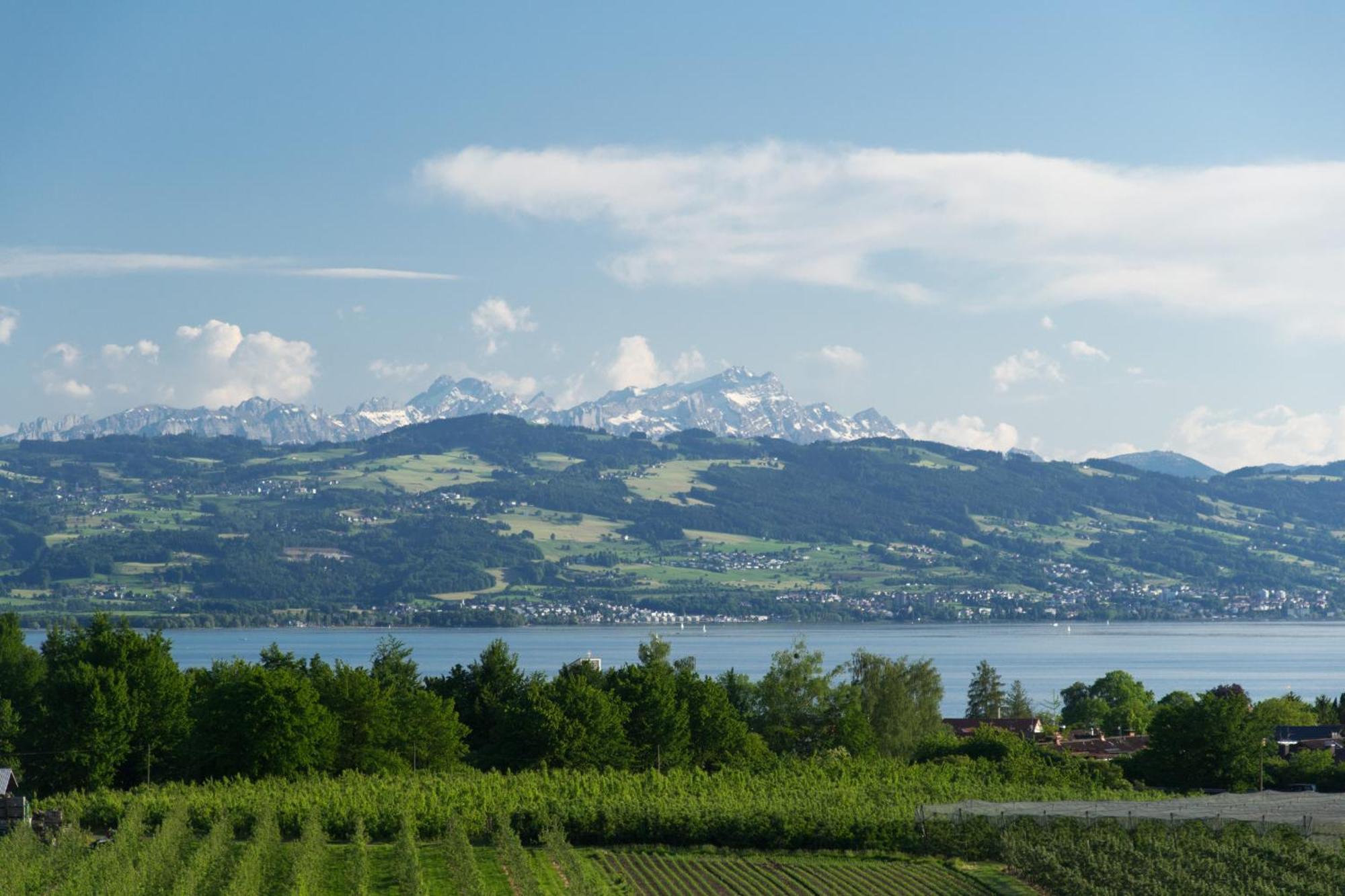 Ferienhaus Behler Kressbronn am Bodensee Exterior foto